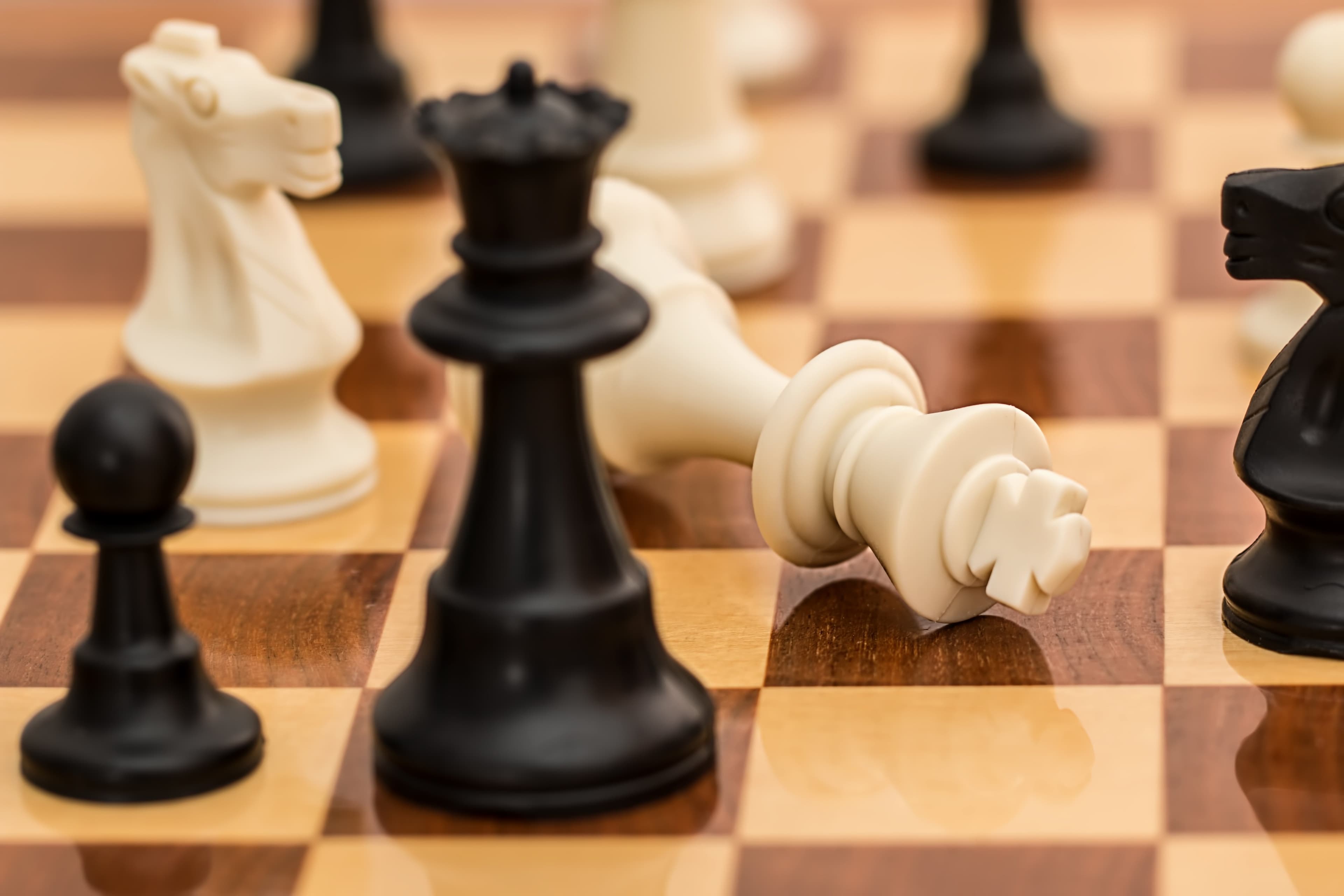 Real Chess Club - Membros a jogar